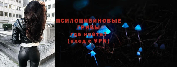 СК Алзамай