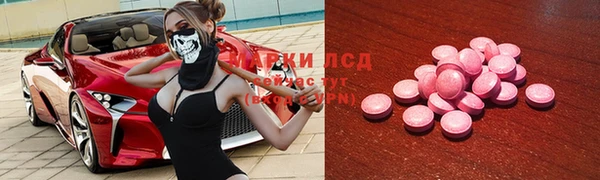 ешки Аркадак