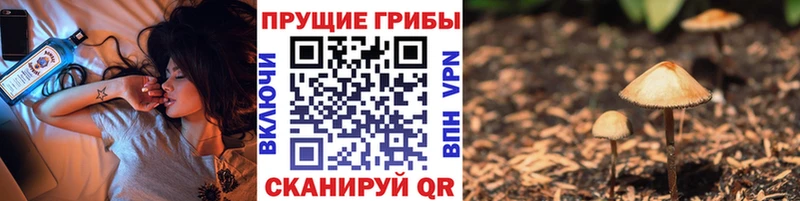 Псилоцибиновые грибы прущие грибы  мориарти состав  Певек 